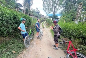 Salento: Cykeluthyrning med hjälm, handskar och karta