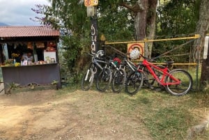 Salento: Cykeluthyrning med hjälm, handskar och karta