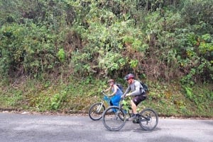 Salento: Cykeluthyrning med hjälm, handskar och karta
