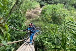 Salento: Cykeluthyrning med hjälm, handskar och karta