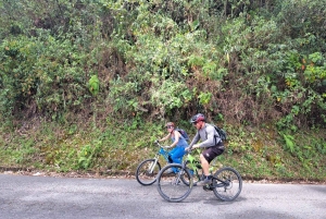 Саленто: прокат велосипеда с шлемом, перчатками и картой