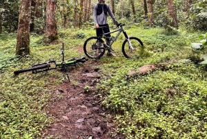 Саленто: прокат велосипеда с шлемом, перчатками и картой