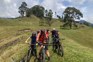 Саленто: прокат велосипеда с шлемом, перчатками и картой