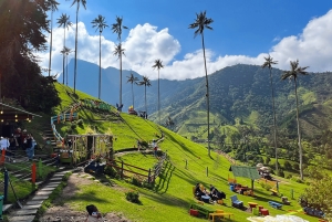 Salento, Cocora og Filandia Fuld plan fra Pereira/Armenien