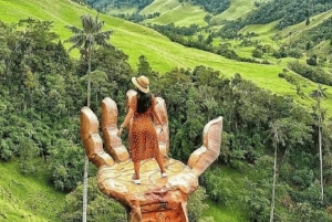 Salento, Cocora og Filandia Fuld plan fra Pereira/Armenien