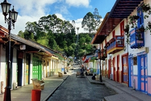 Salento, Cocora og Filandia Fuld plan fra Pereira/Armenien