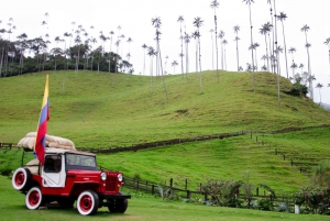 Salento, Cocora and Filandia Tour from Pereira or Armenia