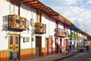 Salento, Cocora and Filandia Tour from Pereira or Armenia