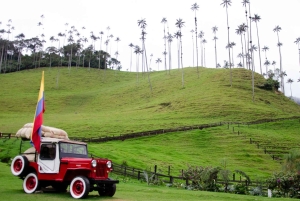 Salento, Cocora and Filandia Tour from Pereira or Armenia