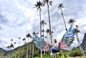 Salento, Cocora and Filandia Tour from Pereira or Armenia