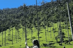 Salento, Cócora och varma källor från Pereira eller Armenia
