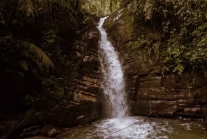 Salento, Cócora + Santa Rita Waterfall from Pereira/Armenia