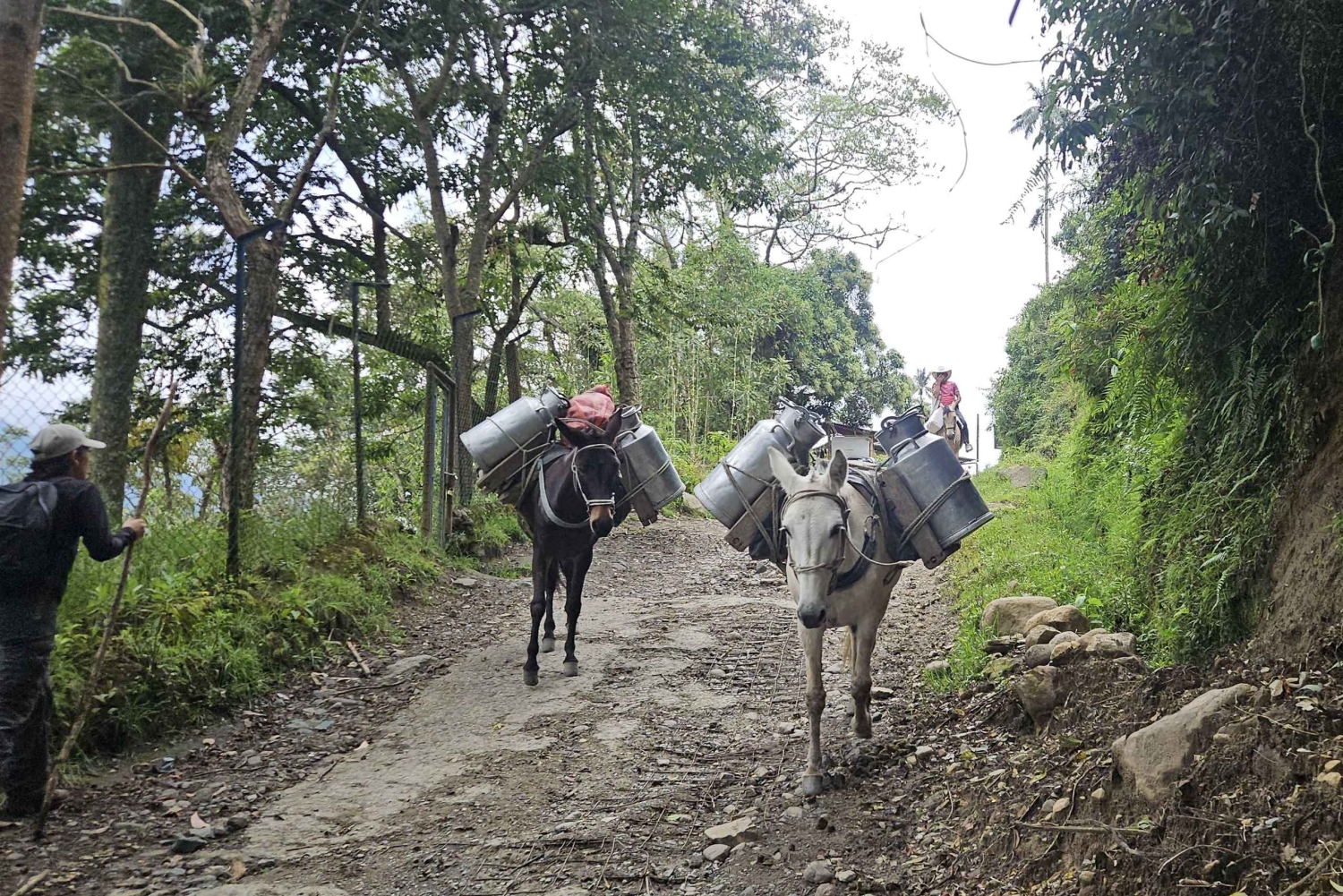 Саленто, долина Кокора и кофейная экскурсия