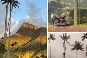 Salento, Cocora-Tal und Kaffee-Tour