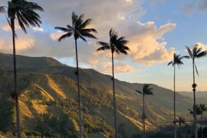 Salento, Cocora-Tal und Kaffee-Tour