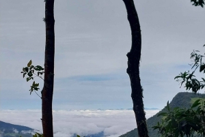Salento, Cocora-Tal und Kaffee-Tour