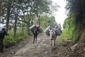 Саленто, долина Кокора и кофейная экскурсия