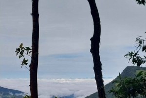 Саленто, долина Кокора и кофейная экскурсия