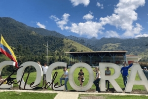 Salento, Cocora Valley & Cocoa Tour from Pereira or Armenia