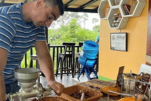 Salento, Cocora Valley & Cocoa Tour from Pereira or Armenia