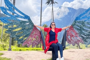 Salento, Cocora Valley & Cocoa Tour from Pereira or Armenia