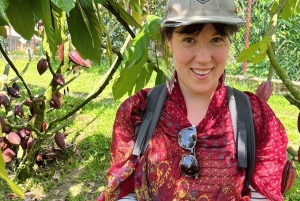 Salento, Cocora Valley & Cocoa Tour from Pereira or Armenia