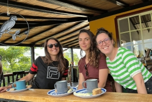 Salento, Cocora Valley & Cocoa Tour from Pereira or Armenia