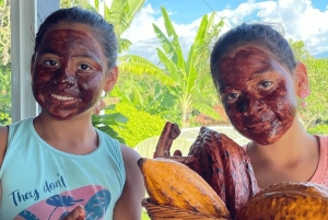 Salento, Cocora Valley & Cocoa Tour from Pereira or Armenia