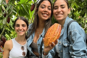 Salento, Cocora Valley & Cocoa Tour from Pereira or Armenia