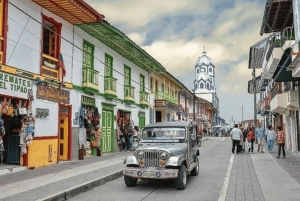 Salento, Cocora Valley & Cocoa Tour from Pereira or Armenia