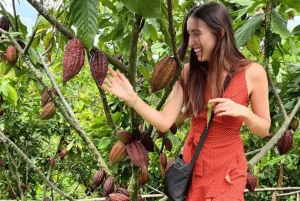 Salento, Cocora Valley & Cocoa Tour from Pereira or Armenia