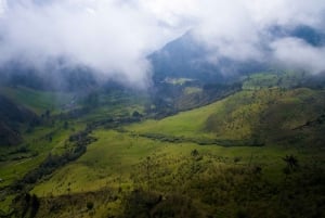 From Salento: Cocora Valley Day Trip with Coffee Farm Tour