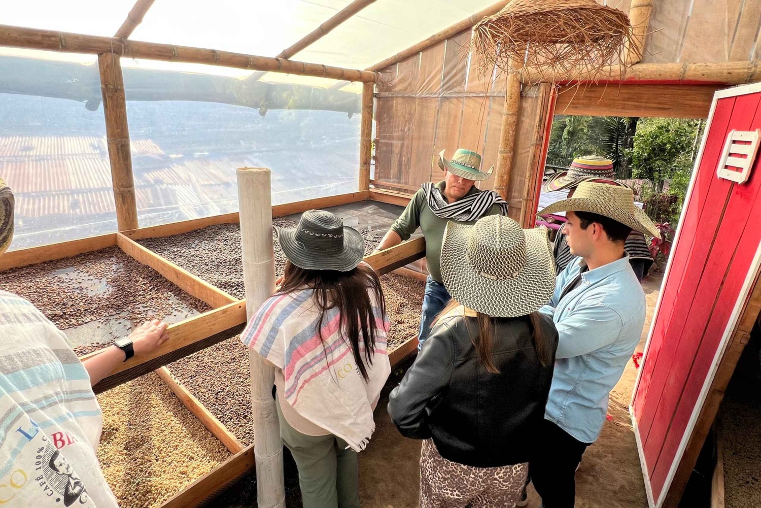 Salento: wspólna wycieczka po farmie kawy