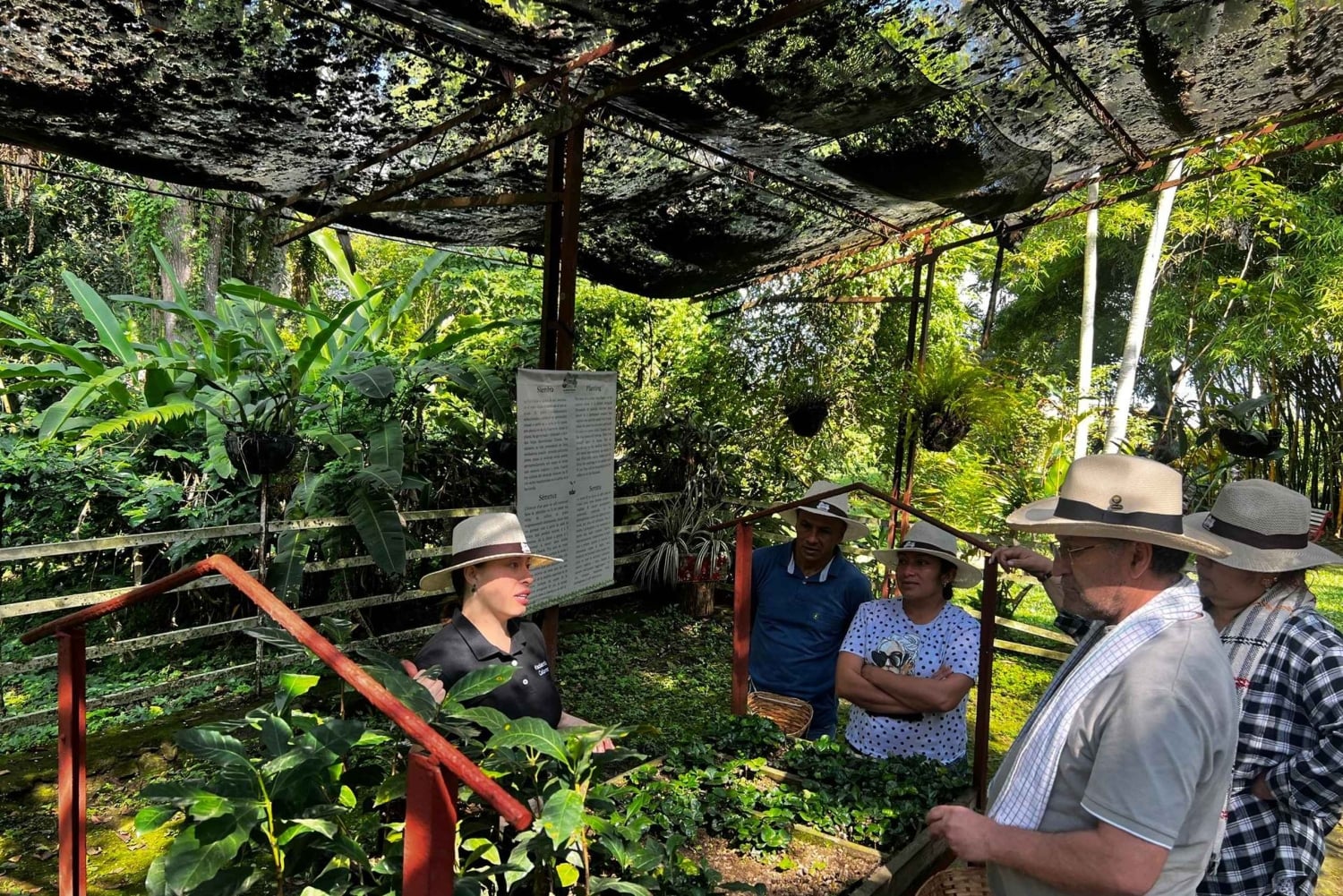Salento: wspólna wycieczka po farmie kawy