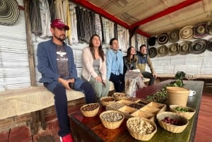 Salento: wspólna wycieczka po farmie kawy