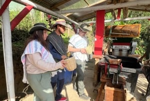 Salento: wspólna wycieczka po farmie kawy