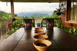 Salento: Coffee Farm Tour with Tasting