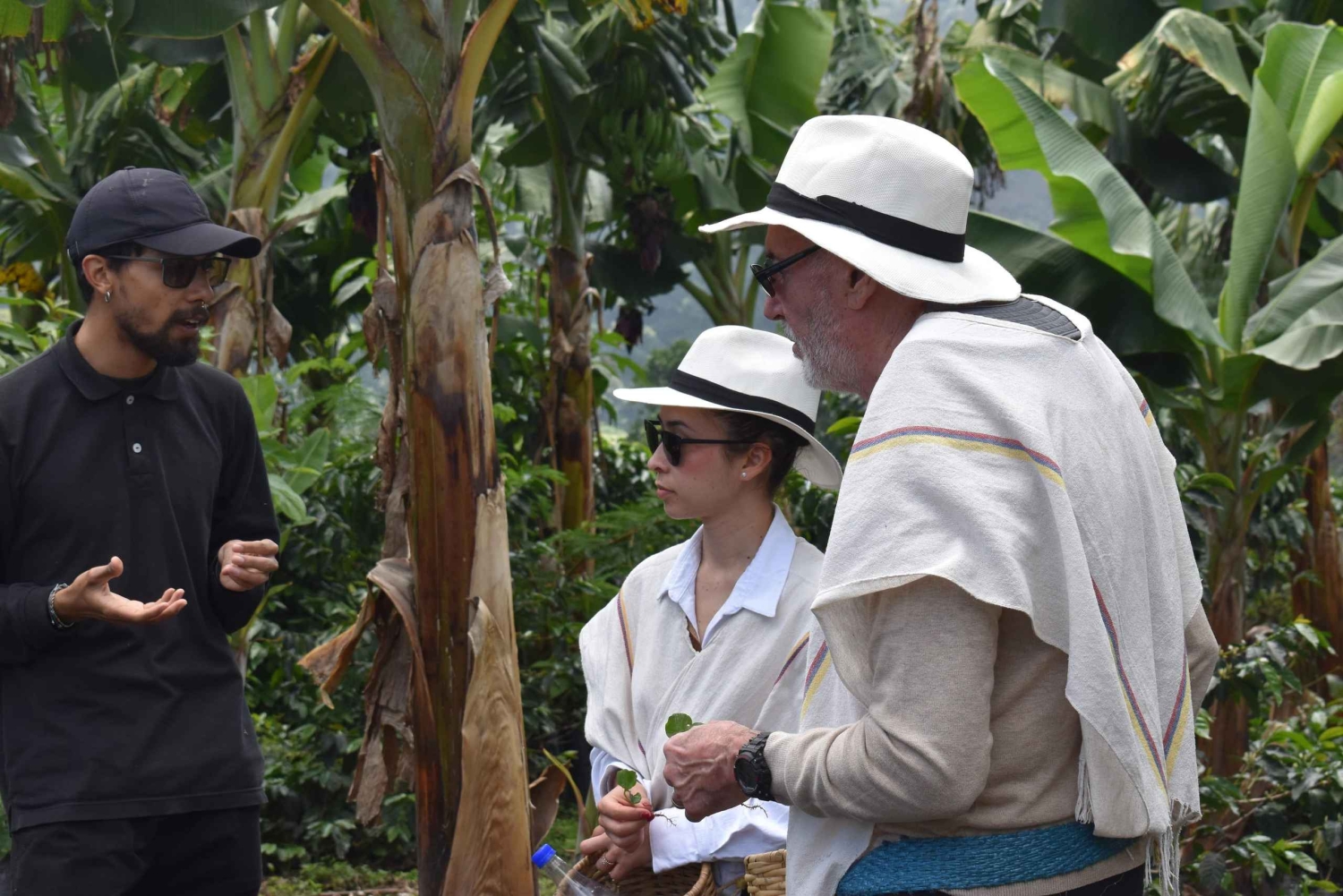 Salento: Kaffetur og rundvisning i Filandia med lokal guide