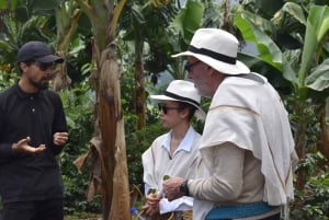 Salento: Kaffetur og rundvisning i Filandia med lokal guide