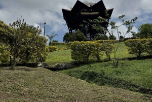 Salento: Kaffetur og rundvisning i Filandia med lokal guide