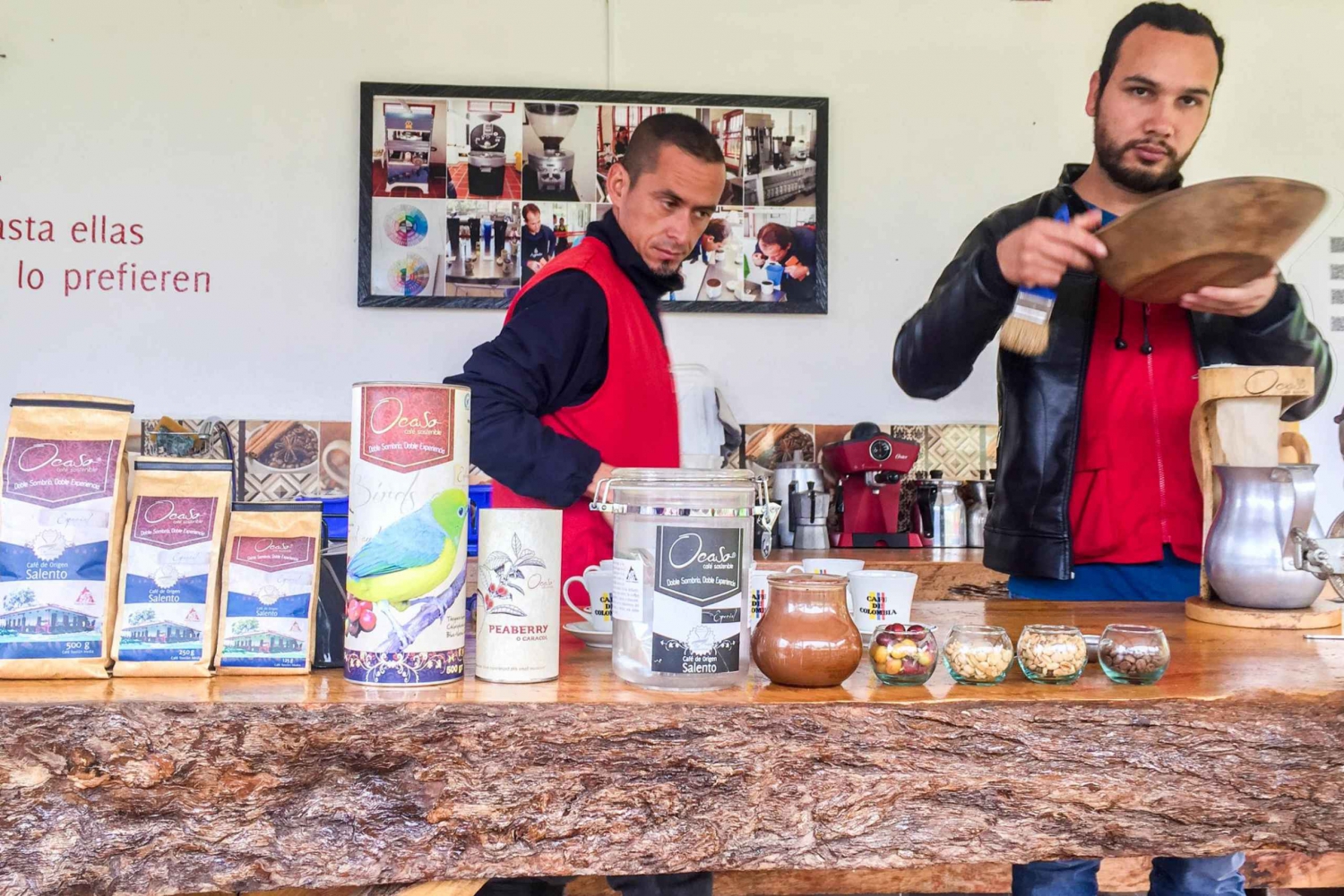 Salento: Coffee Tour at Finca El Ocaso