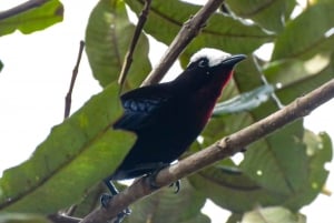 Salento: hike to learn about Birds