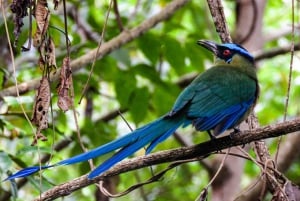 Salento: hike to learn about Birds