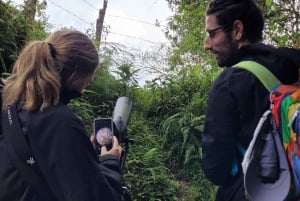 Salento: hike to learn about Birds