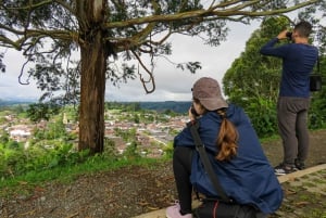 Salento: hike to learn about Birds