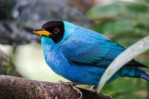 Salento: hike to learn about Birds