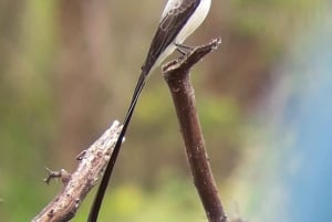 Salento: hike to learn about Birds
