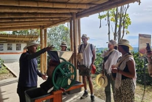 Salento: Private tour of the Cocora Valley, Salento, and a coffee farm
