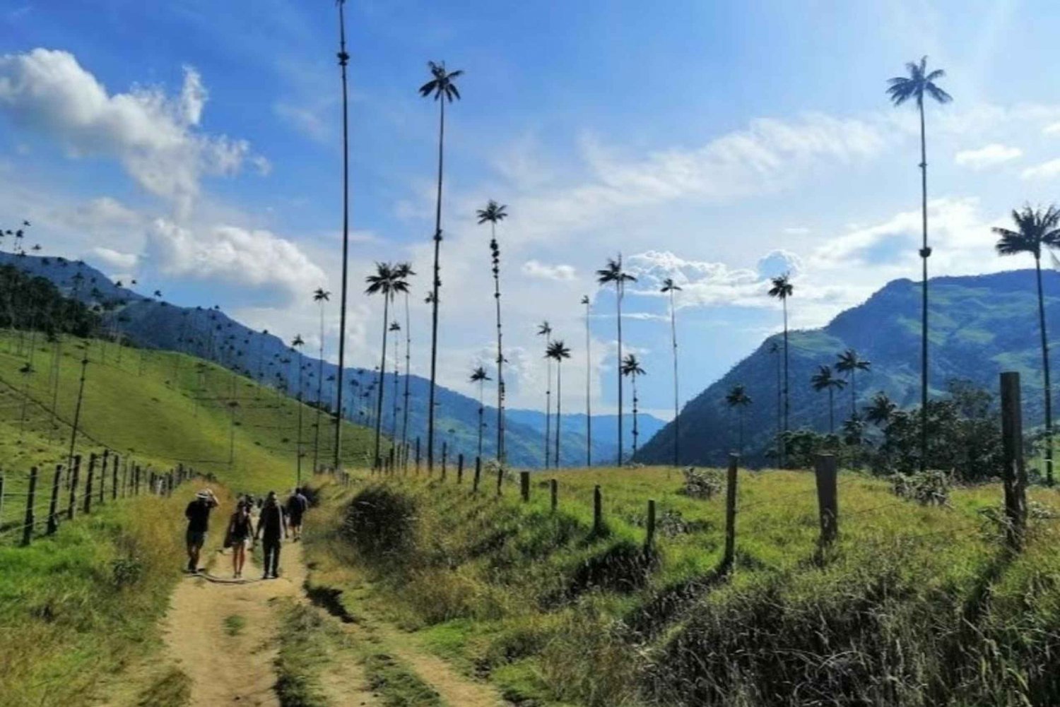 Salento: Salento & Cocora Valley Tour