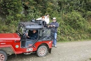 Salento: Salento & Cocora Valley Tour